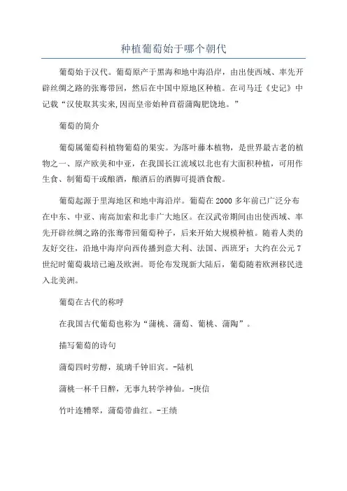 种植葡萄始于哪个朝代