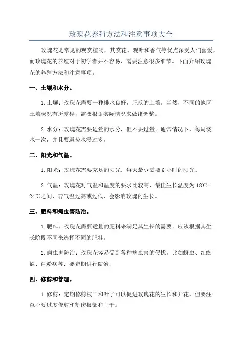 玫瑰花养殖方法和注意事项大全