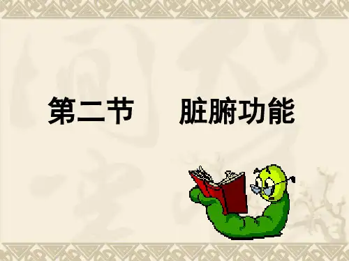 脏腑学说与气血(五脏六腑的生理功能)1
