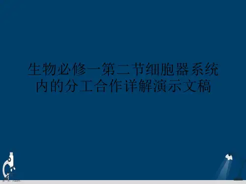 生物必修一第二节细胞器系统内的分工合作详解演示文稿