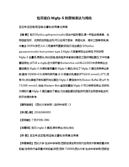 贻贝蛋白Mgfp-5的原核表达与纯化