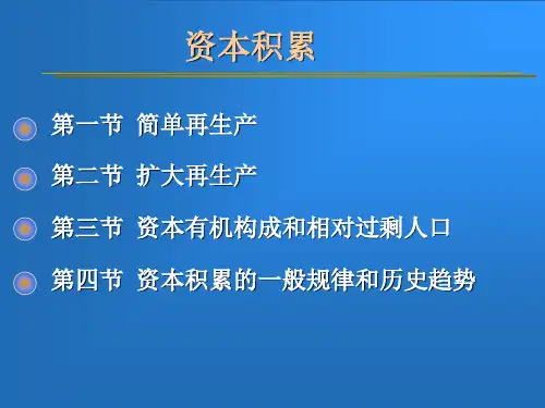 【经典成功PPT案例】资本积累