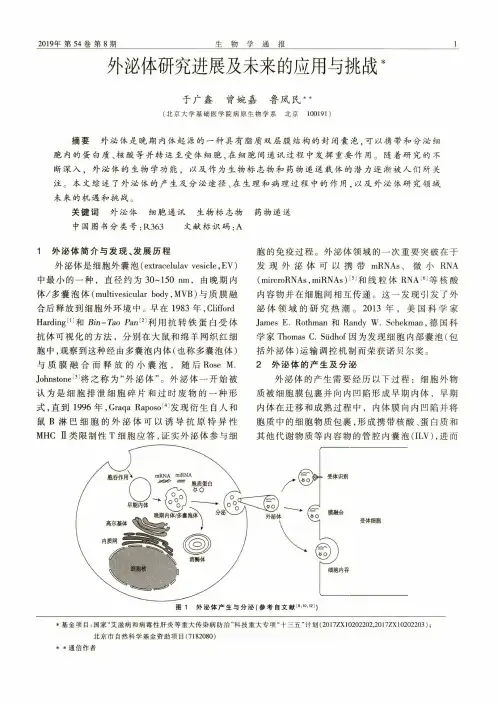 外泌体研究进展及未来的应用与挑战