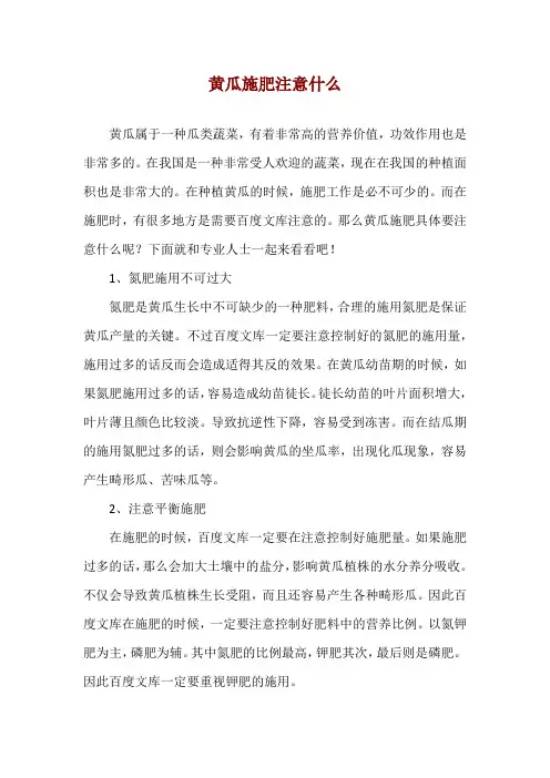 黄瓜施肥注意什么