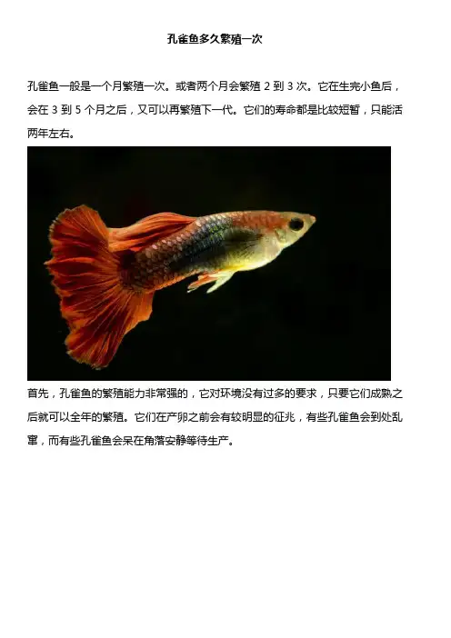 孔雀鱼多久繁殖一次