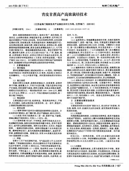 青皮甘蔗高产高效栽培技术