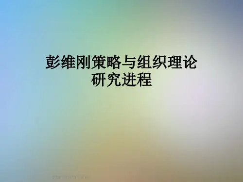 彭维刚策略与组织理论研究进程