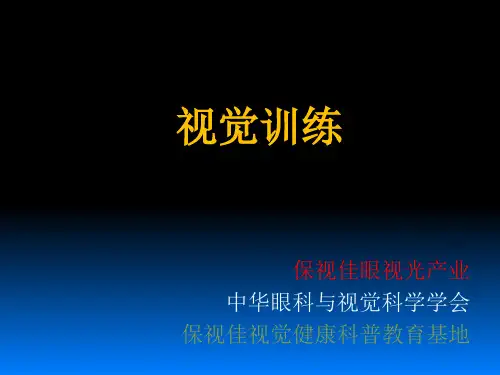 视觉训练PPT精选文档
