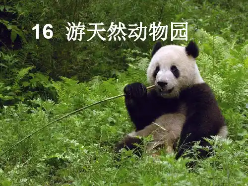 鄂教版小学语文五年级下册 游天然动物园 课件精品PPT课件