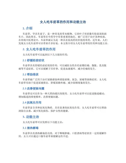 女人吃车前草的作用和功能主治