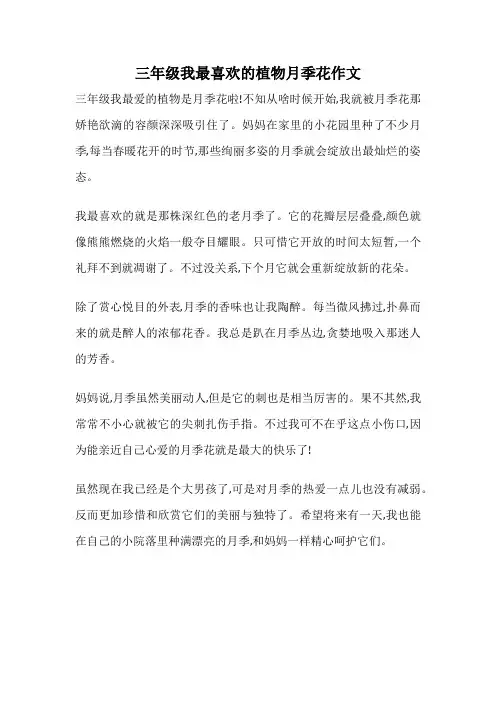 三年级我最喜欢的植物月季花作文