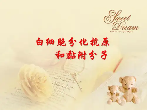 免疫学：白细胞分化抗原和黏附分子