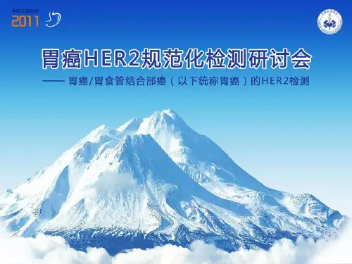 胃癌HER2检测