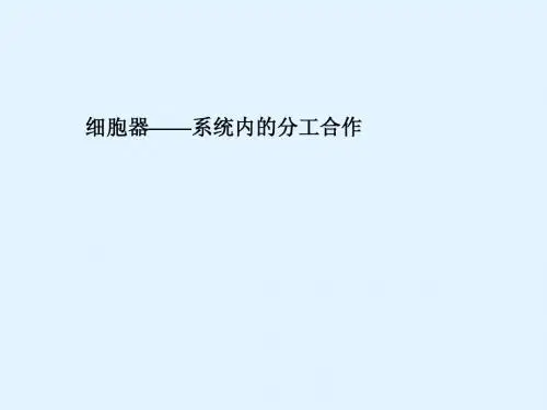 最新2015届高考生物一轮详细复习 细胞器 系统内的分工合作 课件 新人教版