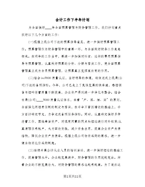 2024年会计工作下半年计划（五篇）