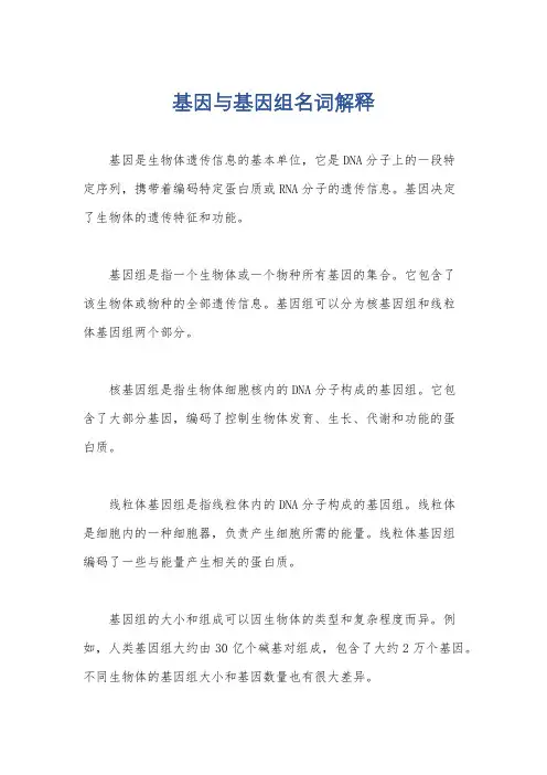 基因与基因组名词解释