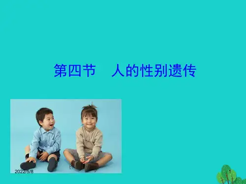 八年级生物下册 7.2.4 人的性别遗传课件(新版)新人教版