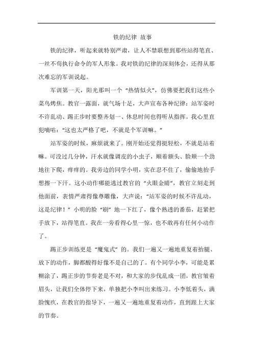 铁的纪律 故事