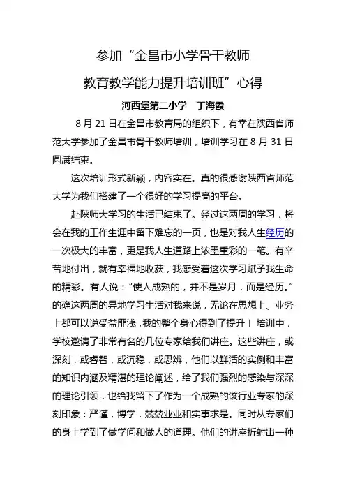 丁海霞陕师大培训心得