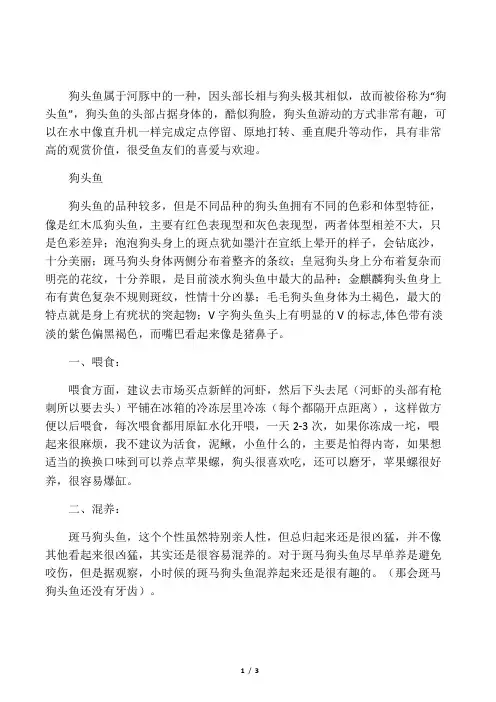 狗头鱼饲养方法