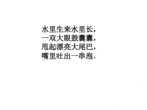 三年级上册科学课件-2.6《金鱼》｜教科版  (共25张PPT)