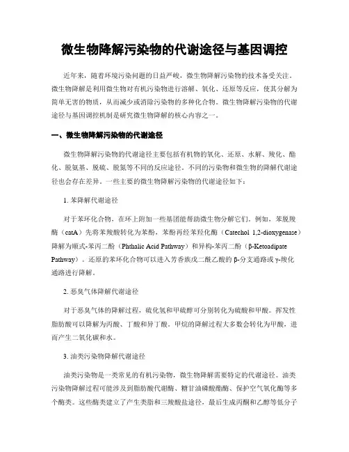 微生物降解污染物的代谢途径与基因调控