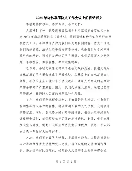 2024年森林草原防火工作会议上的讲话范文