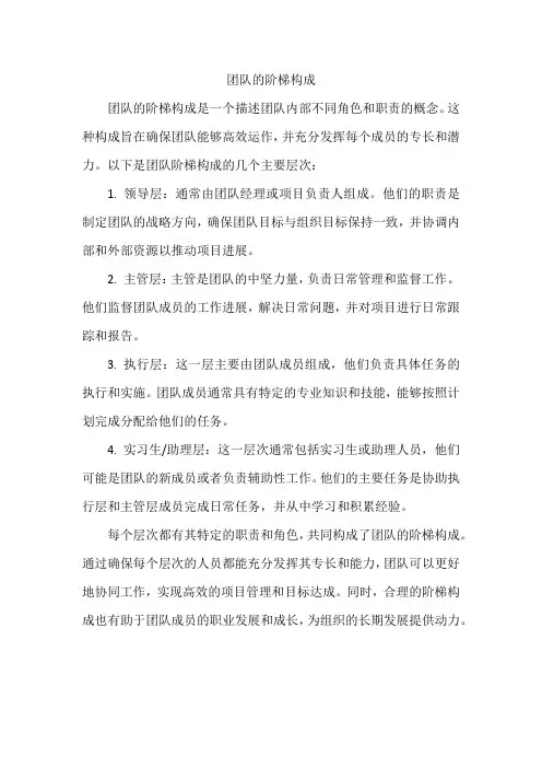 团队的阶梯构成