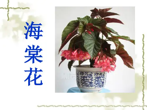 《海棠花课件》 少儿国画水墨美术PPT课件