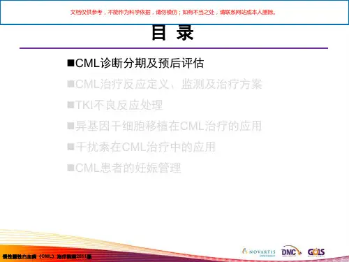 慢性髓性白血病(CML)诊疗指南培训课件