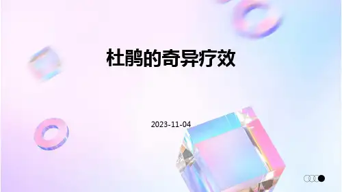 杜鹃的奇异疗效