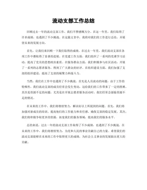流动支部工作总结