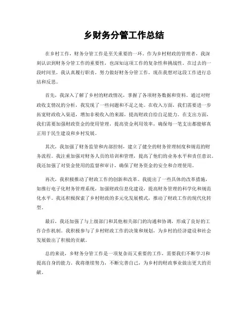 乡财务分管工作总结