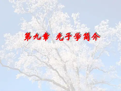 光子学简介