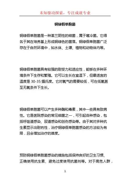 铜绿假单胞菌 (2)