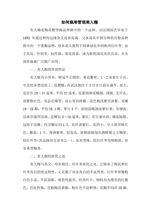 如何栽培管理美人梅