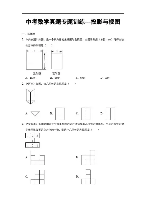 中考数学真题专题训练---投影与视图(附解析)