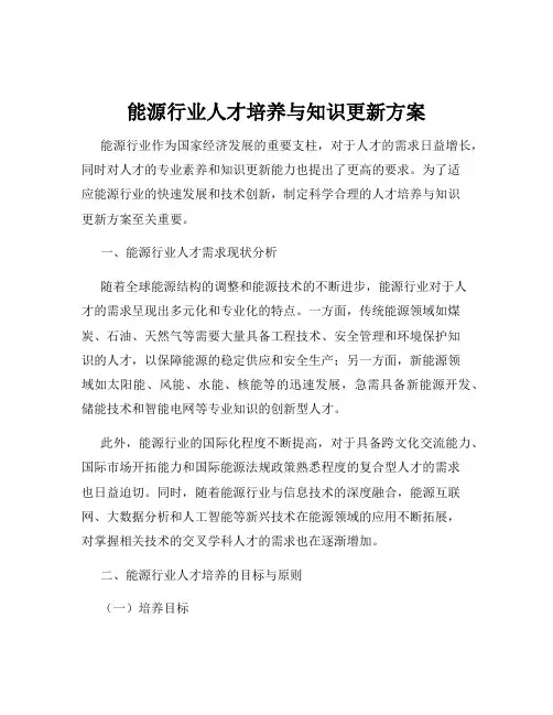 能源行业人才培养与知识更新方案