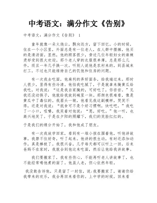 中考语文：满分作文《告别》