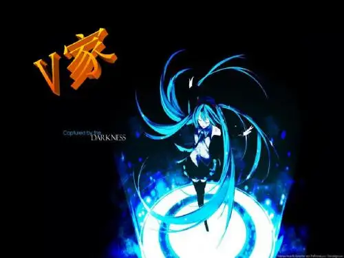 初音介绍