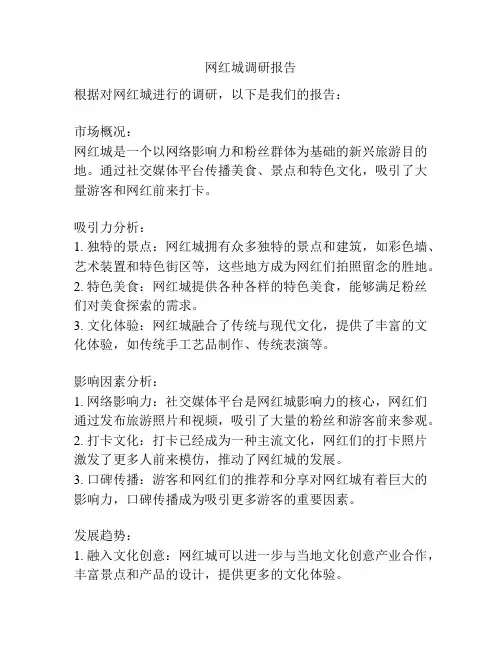 网红城调研报告