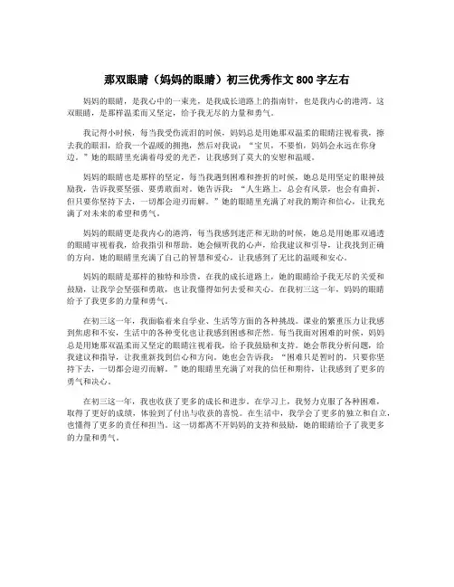 那双眼睛(妈妈的眼睛)初三优秀作文800字左右
