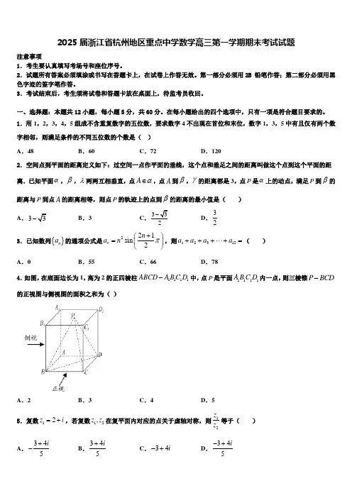 2025届浙江省杭州地区重点中学数学高三第一学期期末考试试题含解析