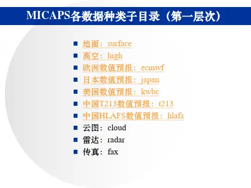 数据格式