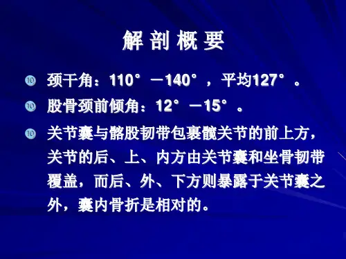 股骨颈骨折PPT课件