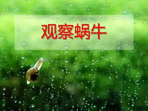 一年级下 .观察一种动物 教科版ppt