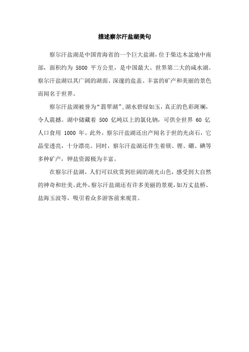 描述察尔汗盐湖美句