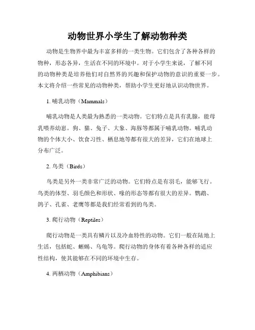 动物世界小学生了解动物种类