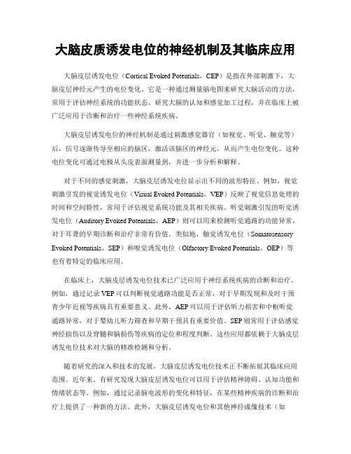 大脑皮质诱发电位的神经机制及其临床应用