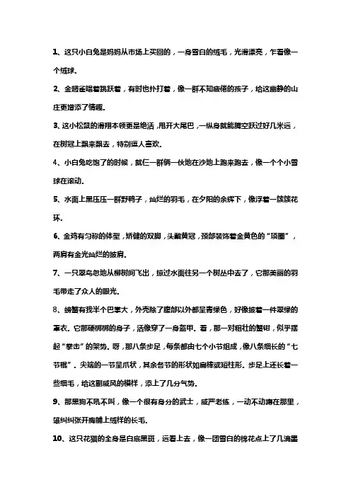 描写动物的好句20字